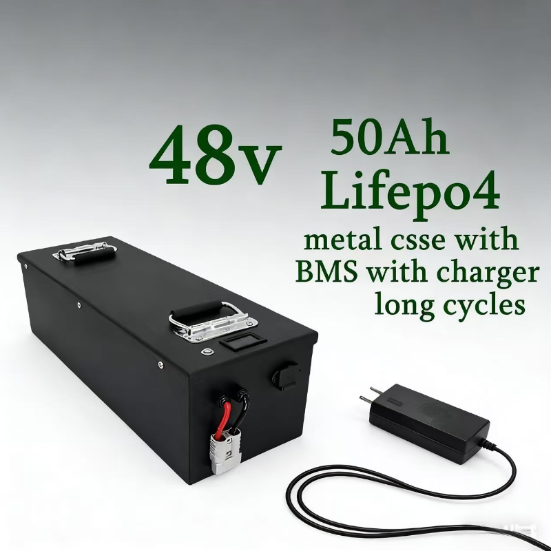 Lifepo4 48V 50Ah Golf Cart - 48V 50Ah 딥 사이클 LiFePO4 메탈