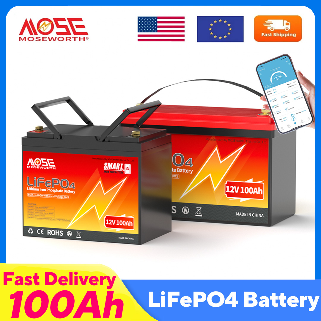MOSEWORTH LiFePO4 12V 100Ah 배터 - 12V 100Ah Lifepo4 Bluetooth Bms 리뷰 및 가격