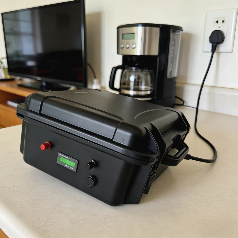 12V/24V LiFePO4 배터리 팩 (100Ah-4 - 12V 100Ah Lifepo4 Bluetooth Bms 리뷰 및 가격