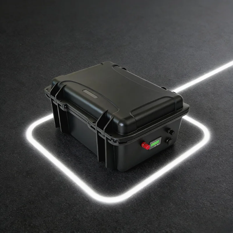 12V/24V LiFePO4 배터리 팩 (100Ah-4 - 12V 100Ah Lifepo4 Bluetooth Bms 리뷰 및 가격
