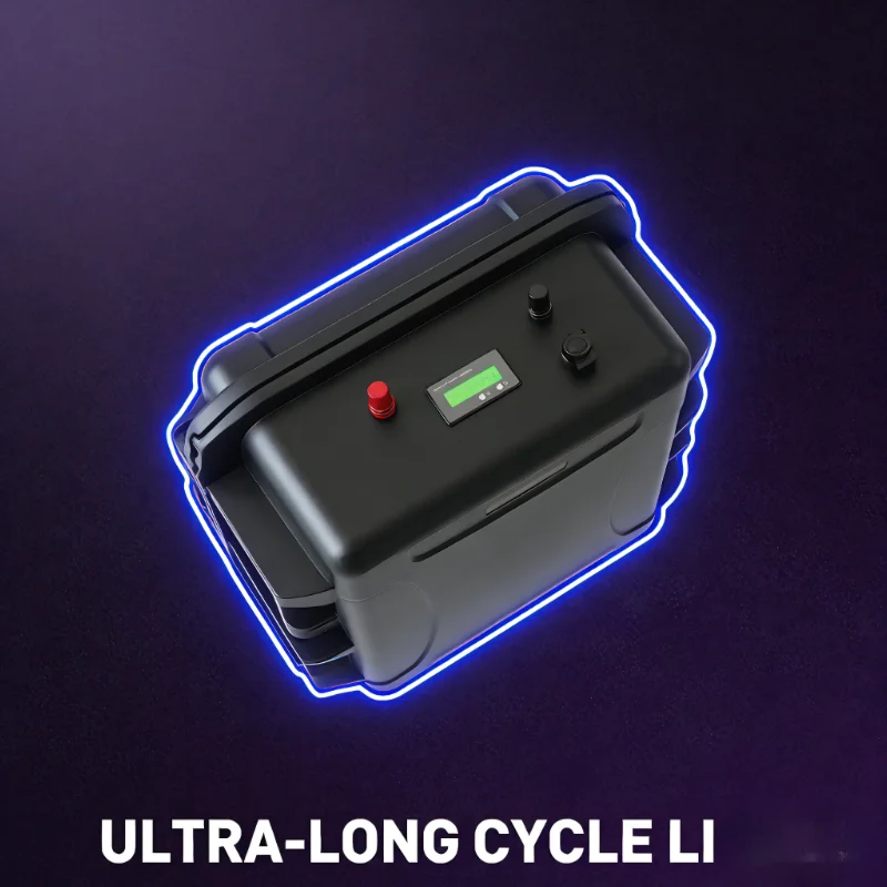 12V/24V LiFePO4 배터리 팩 (100Ah-4 - 12V 100Ah Lifepo4 Bluetooth Bms 리뷰 및 가격