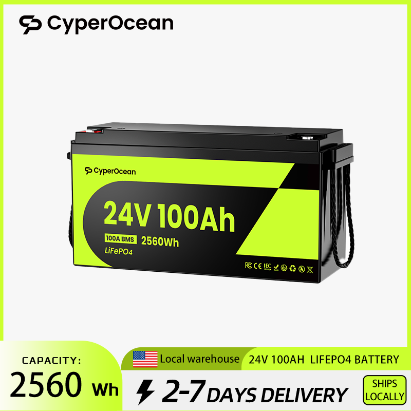 사이퍼오션 24V 100Ah 리튬인산철 배터리, 100 - Lifepo4 Battery 24V 100Ah Trolling Motor 리뷰 및 가격