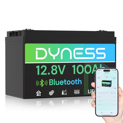 12V 100Ah 블루투스 LiFePO4 배터리, 딥  - 12V 100Ah Lifepo4 Bluetooth Bms 리뷰 및 가격