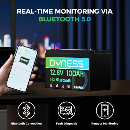 12V 100Ah 블루투스 LiFePO4 배터리, 딥  - 12V 100Ah Lifepo4 Bluetooth Bms 리뷰 및 가격