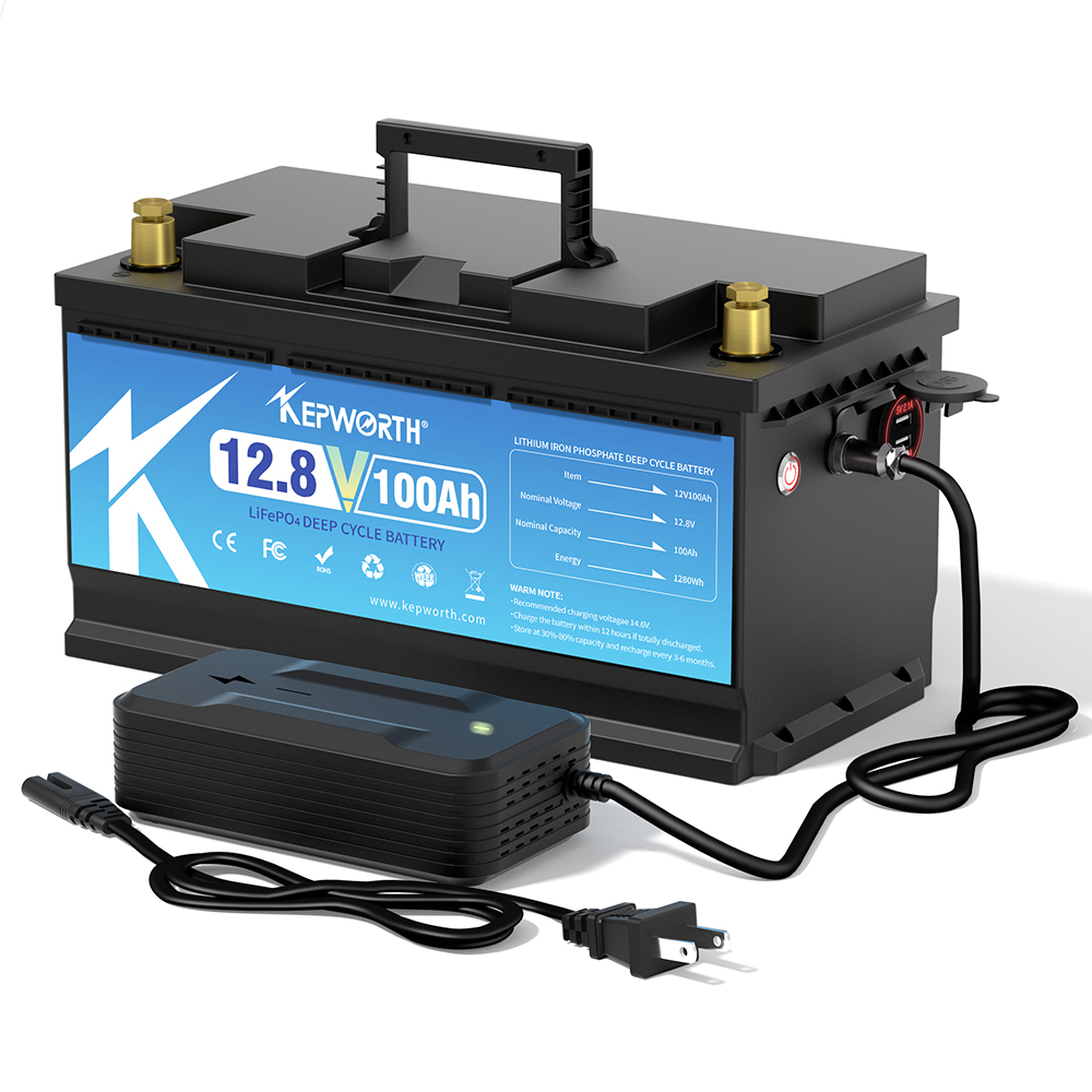 12V 24V 100AH 120AH 300AH LiFe - Lifepo4 Battery 36V 100Ah 리뷰 및 가격